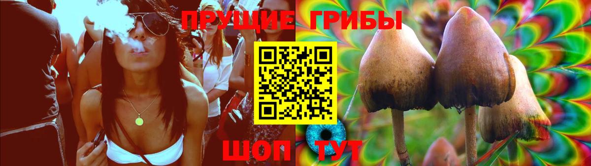 Батайск  Галлюциногенные грибы прущие грибы  Вход с VPN 